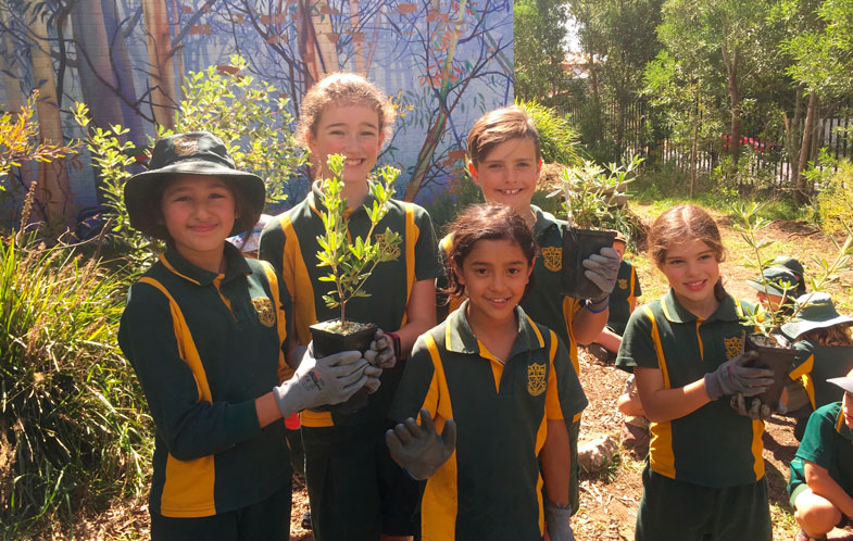 Blackheath Students First in the World to Plant Rare Endangered Species ...